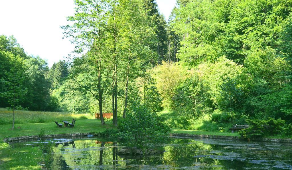 Hotel Gassbachtal Grasellenbach Εξωτερικό φωτογραφία